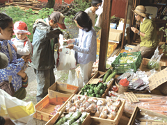 画像：農業者による野菜の直接販売の様子