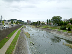 画像：秦野市役所前を流れる水無川