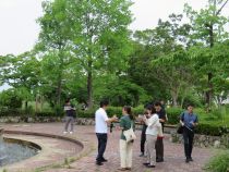 img25432_06.JPG